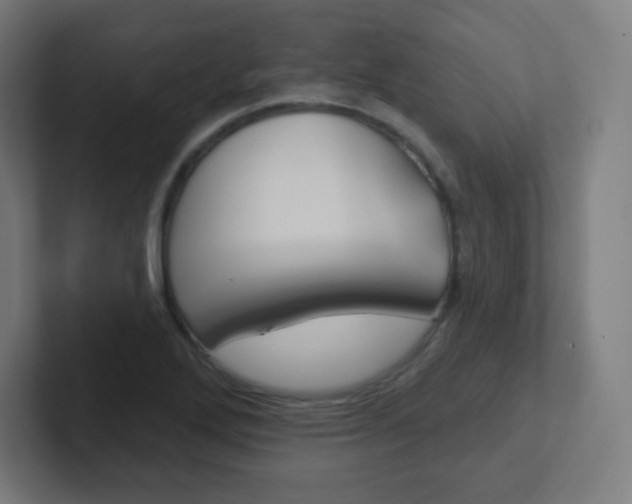 X0000102411272200808011009