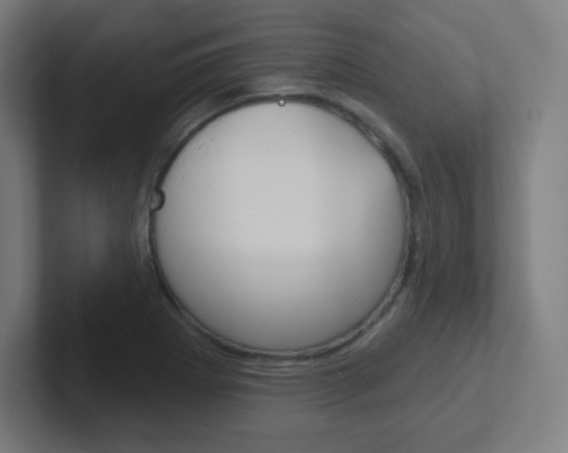 X0000102411273200808011009
