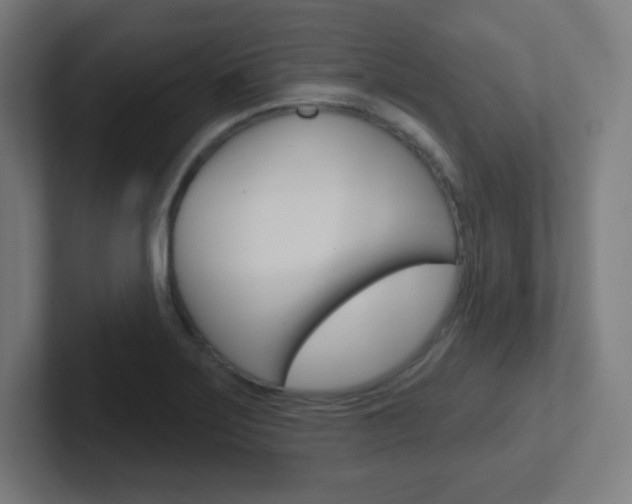 X0000102411275200808011009