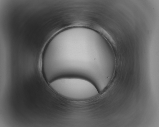 X0000102411276200808011009