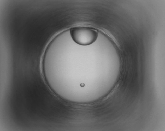 X0000102411277200808011009