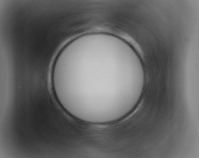 X0000102411278200808011009