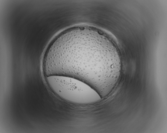 X0000102411279200808011008