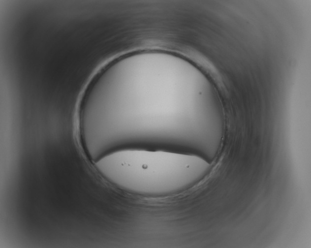 X0000102411280200808011008