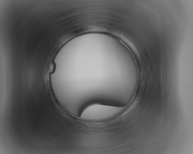 X0000102411281200808011008