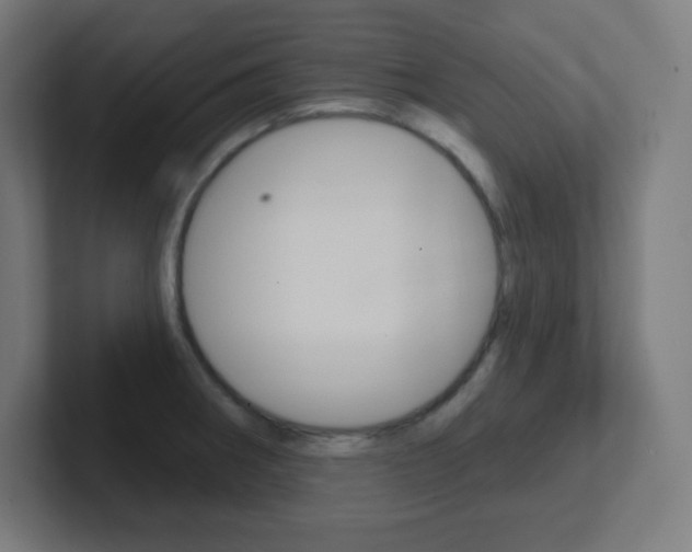 X0000102411282200808011008