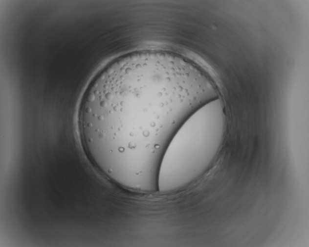 X0000102411283200808011008