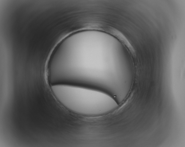 X0000102411284200808011008