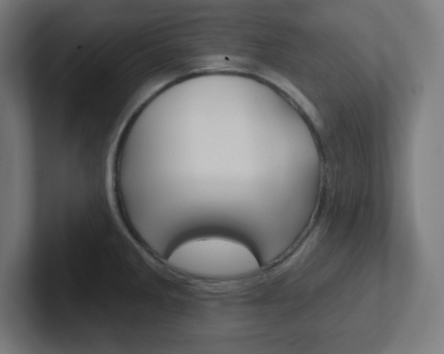 X0000102411285200808011008