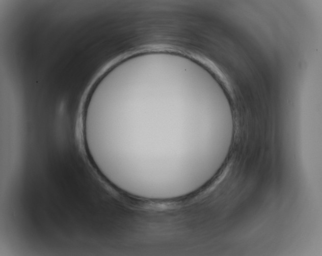 X0000102411286200808011008