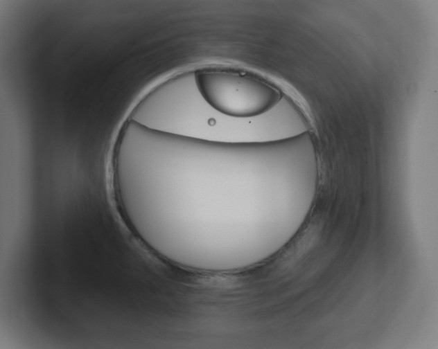 X0000102411287200808011008