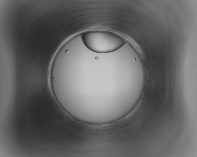 X0000102411288200808011008