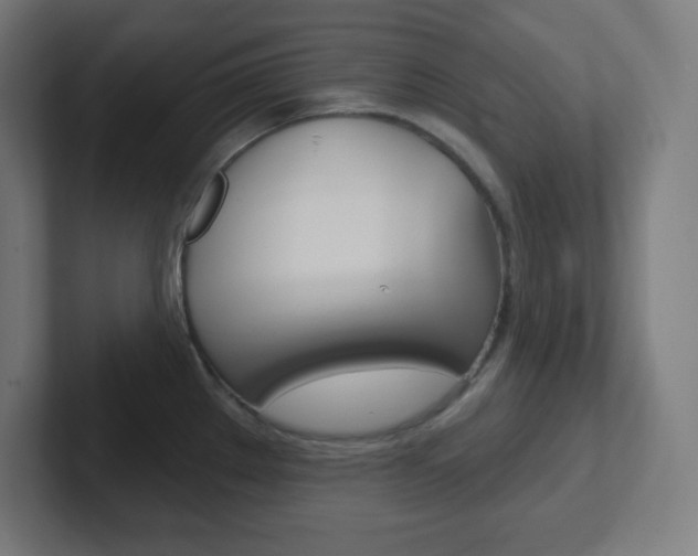 X0000102411289200808011008