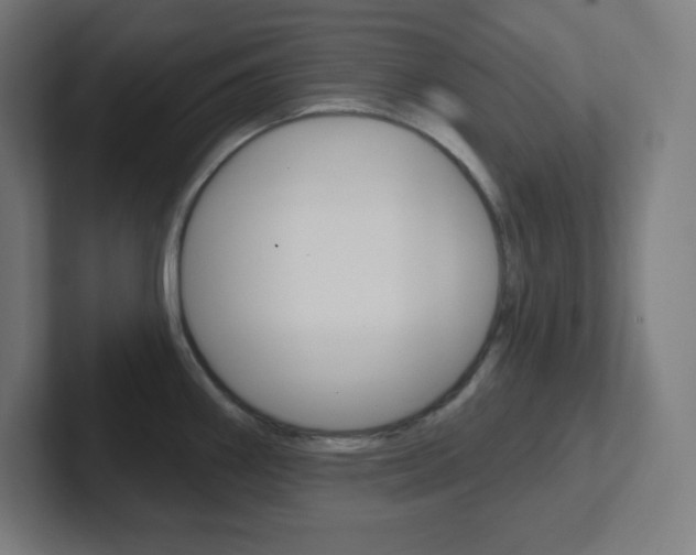 X0000102411290200808011008