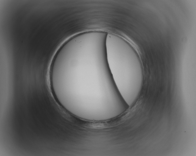 X0000102411291200808011008