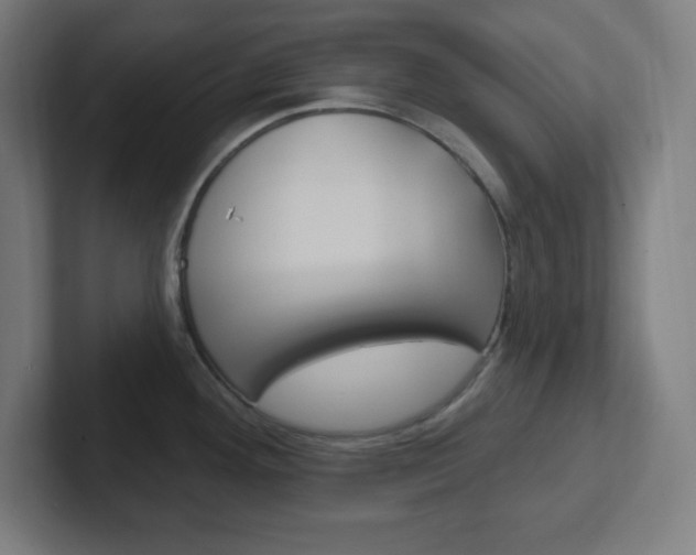 X0000102411292200808011008