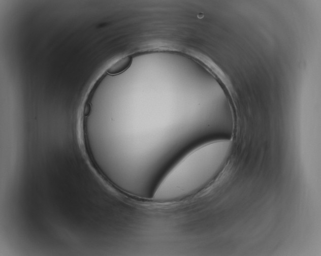 X0000102411293200808011008