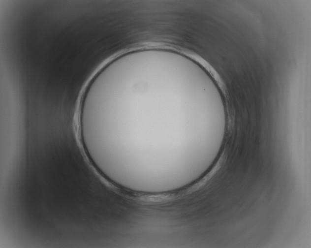 X0000102411294200808011008
