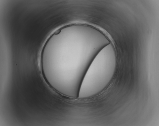 X0000102411295200808011008