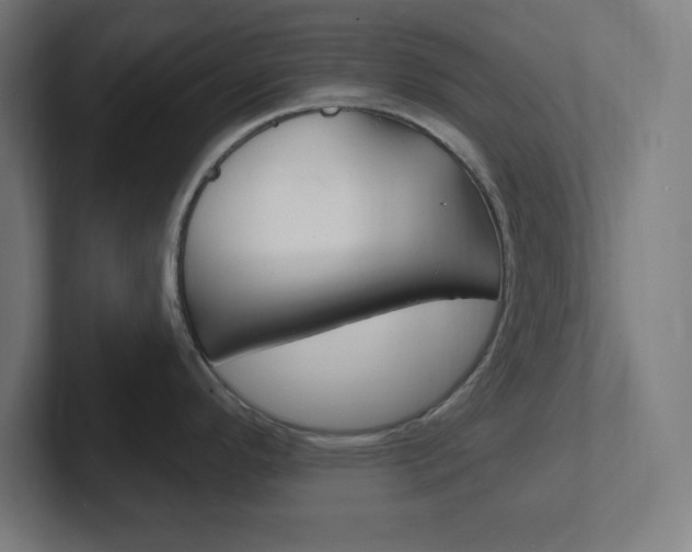 X0000102411296200808011008