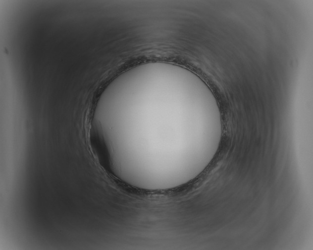 X0000102411297200808011008