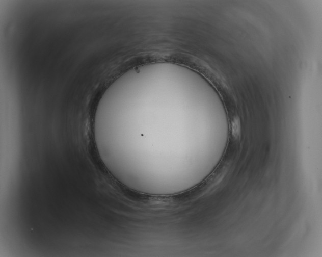 X0000102411299200808011008