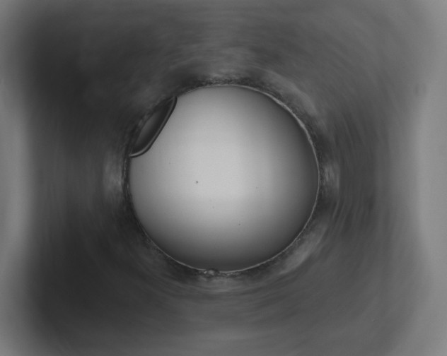 X0000102411300200808011008