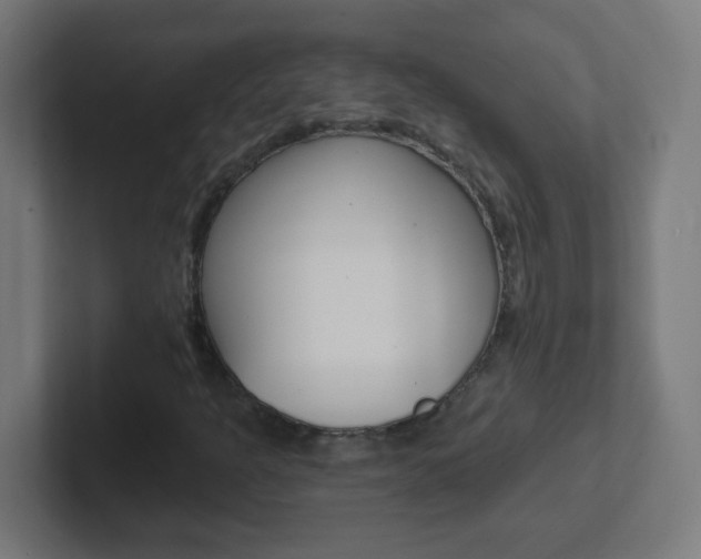 X0000102411301200808011008