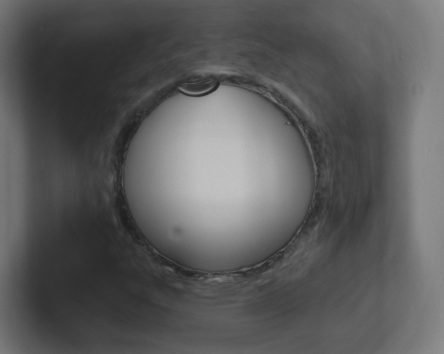 X0000102411303200808011008
