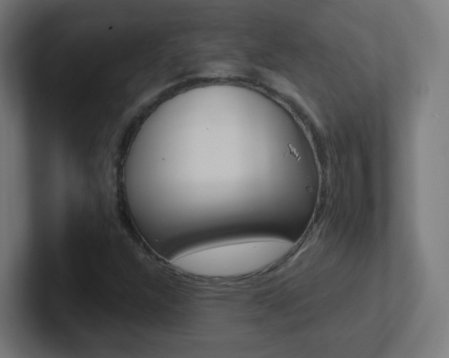 X0000102411304200808011008