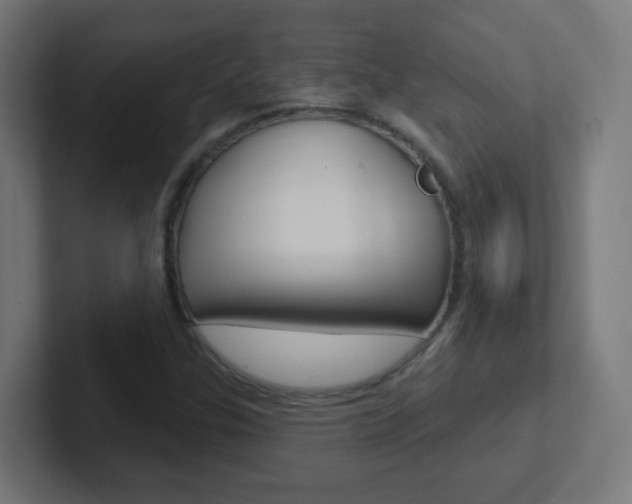 X0000102411307200808011008