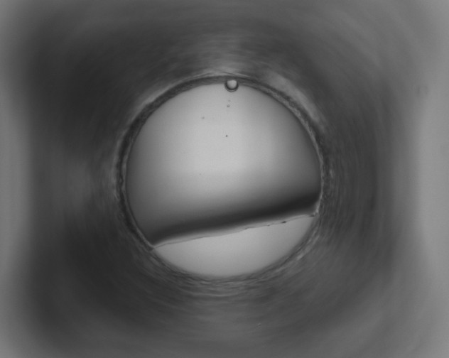 X0000102411308200808011008