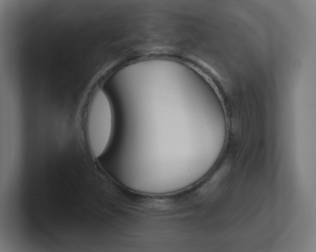 X0000102411309200808011008