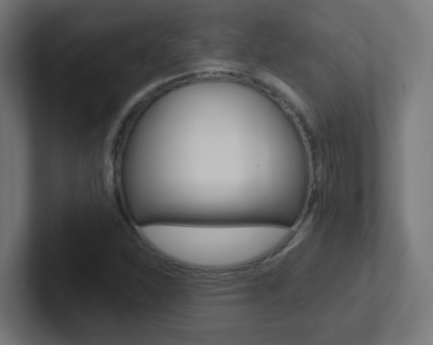 X0000102411310200808011008