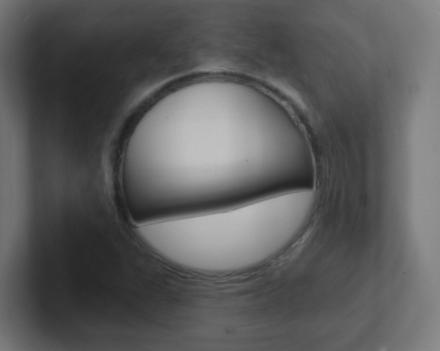 X0000102411311200808011008