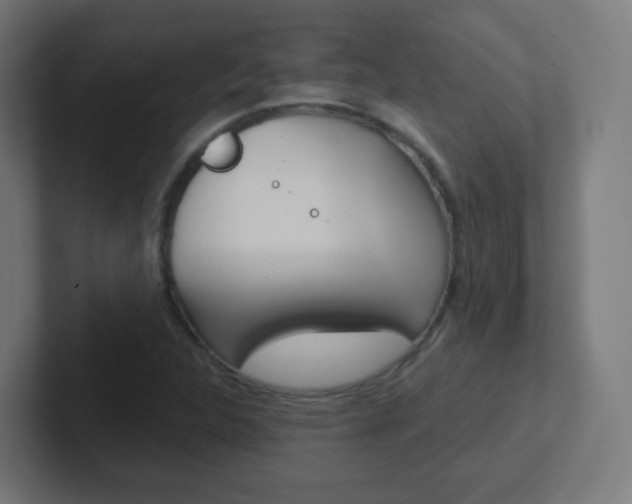 X0000102411312200808011008