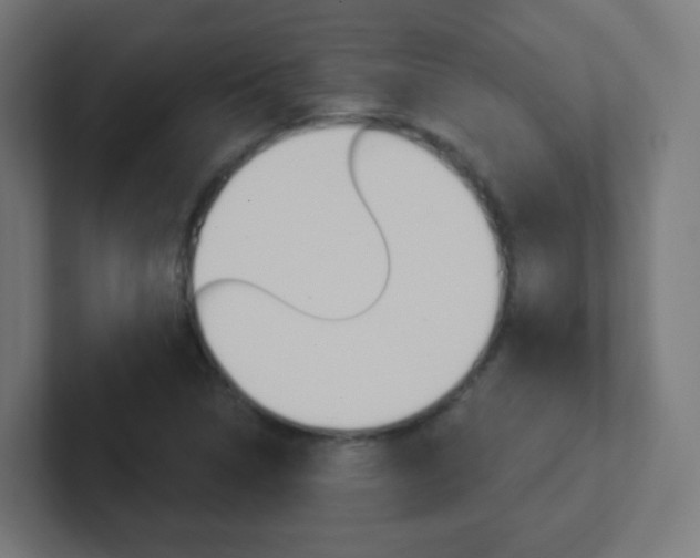 X0000102411314200808011008