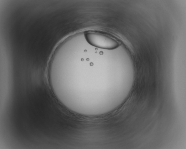 X0000102411316200808011008