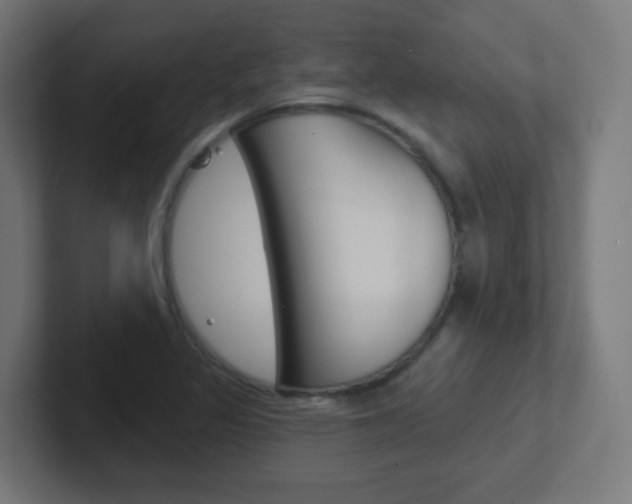 X0000102411317200808011008