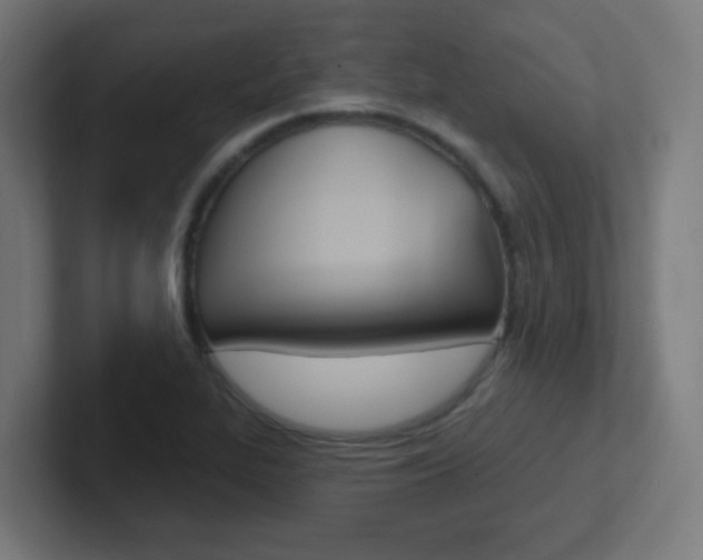 X0000102411319200808011008