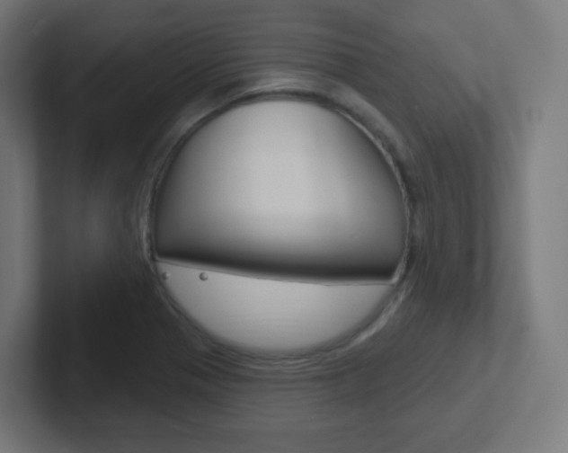 X0000102411321200808011008