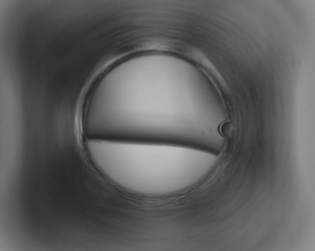 X0000102411323200808011008