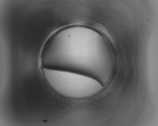 X0000102411324200808011008