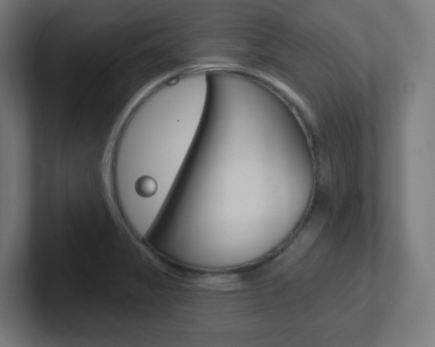 X0000102411325200808011008