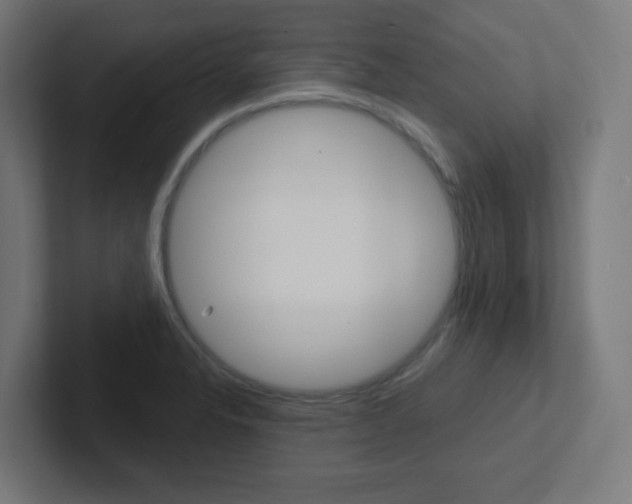 X0000102411326200808011008