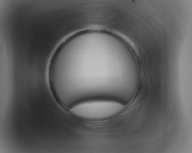 X0000102411327200808011008