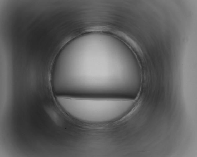 X0000102411329200808011008