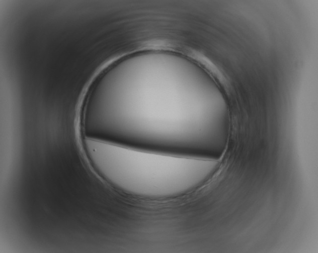 X0000102411331200808011008