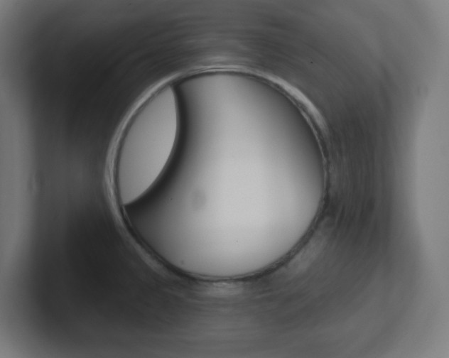 X0000102411333200808011008