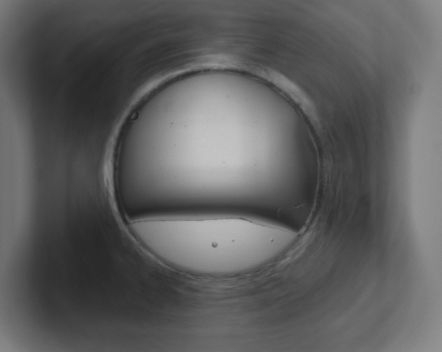 X0000102411334200808011008